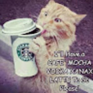 Meet your Posher, Kirsten